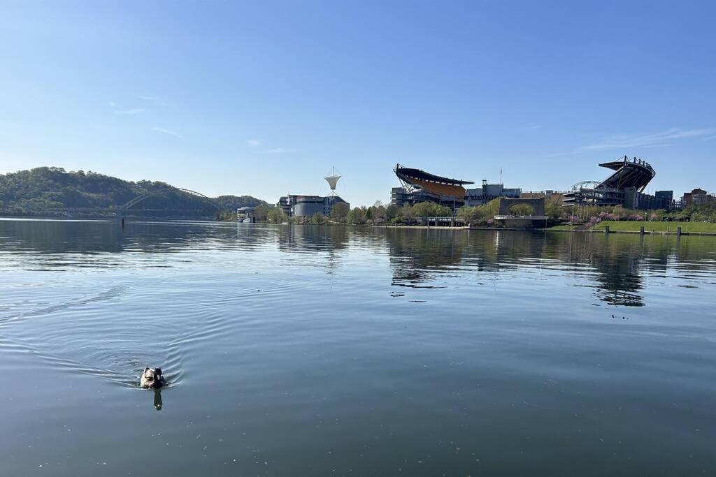 Sprawling Stadium Views Wonderful Location 24-7 Parking Gym Lounge Pittsburgh Exterior foto